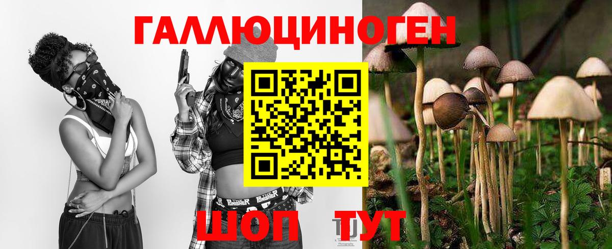 Галлюциногенные грибы мицелий  Вход с VPN  Кисловодск 