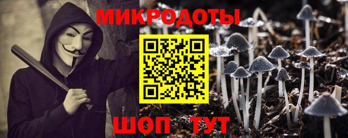Галлюциногенные грибы MAGIC MUSHROOMS Кисловодск